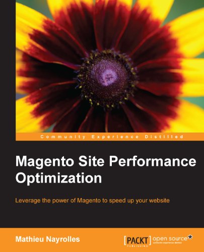 Livre Magento Performance Optimization